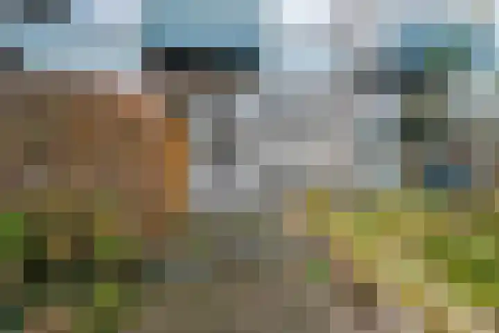 Rijnsburgerweg 59 Leiden thumbnail 5