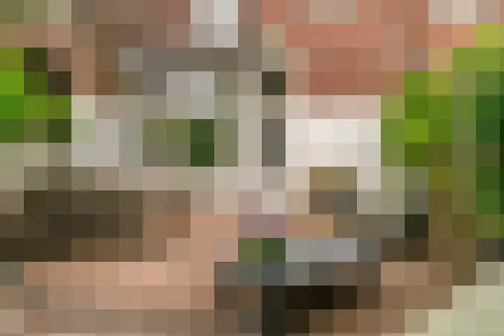 Rijnsburgerweg 60 Leiden thumbnail 45