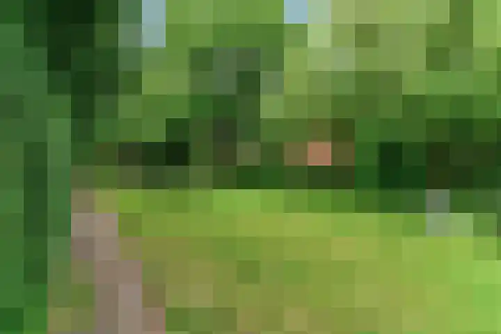 Rijnsburgerweg 60 Leiden thumbnail 49