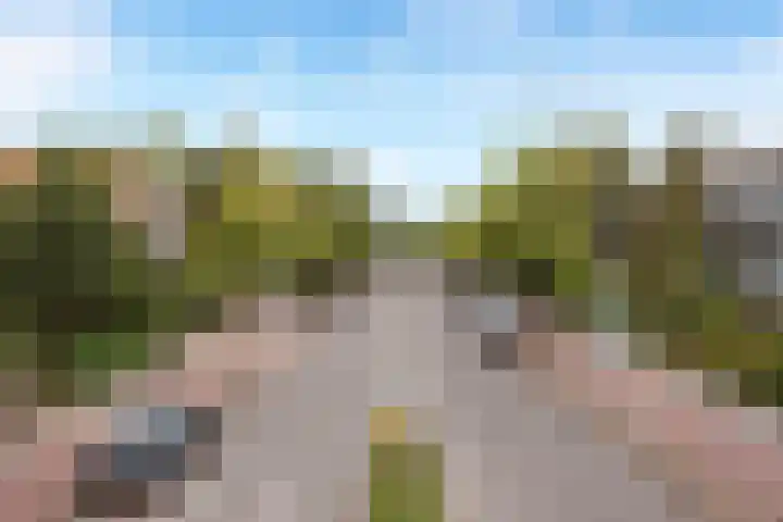 Rijnsburgerweg 61 Leiden thumbnail 11
