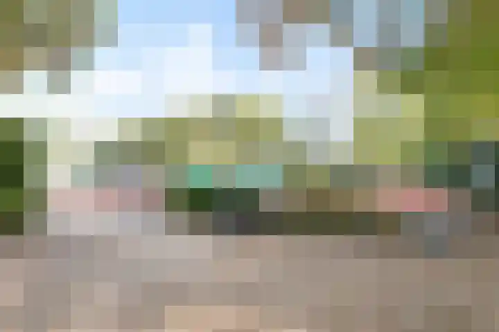Rijnsburgerweg 61 Leiden thumbnail 12