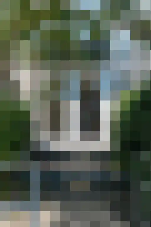 Rijnsburgerweg 61 Leiden thumbnail 4