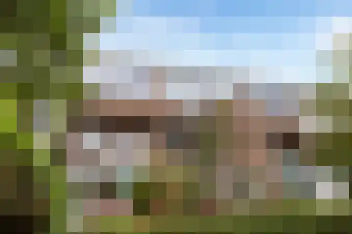 Rijnsburgerweg 61 Leiden thumbnail 6