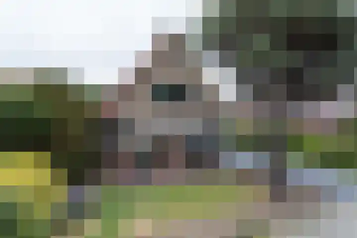 Rijnsburgerweg 72 A Oegstgeest thumbnail 14