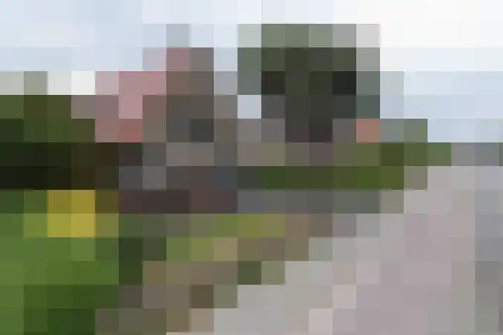 Rijnsburgerweg 72 A Oegstgeest thumbnail 21