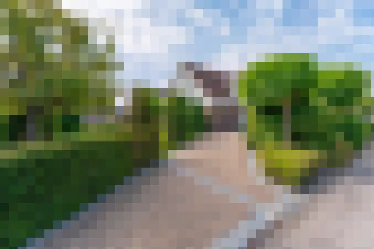 Rijnsburgerweg 75 Rijnsburg thumbnail 46