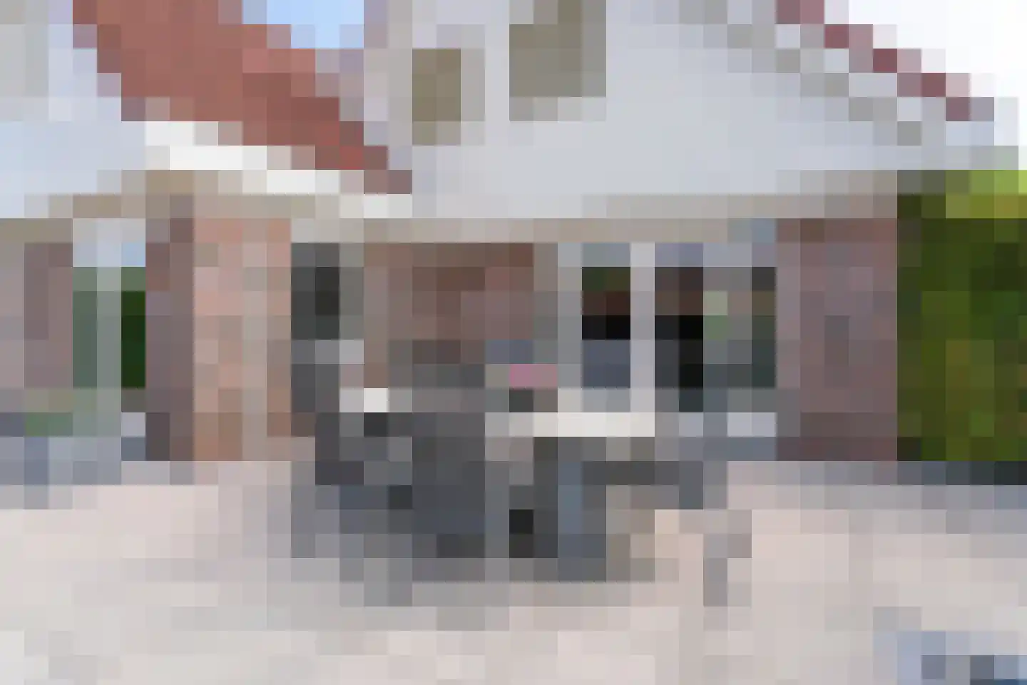 Rijnsburgerweg 75 Rijnsburg thumbnail 55