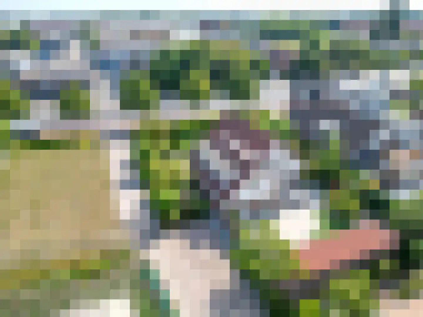 Rijnsburgerweg 75 Rijnsburg thumbnail 60