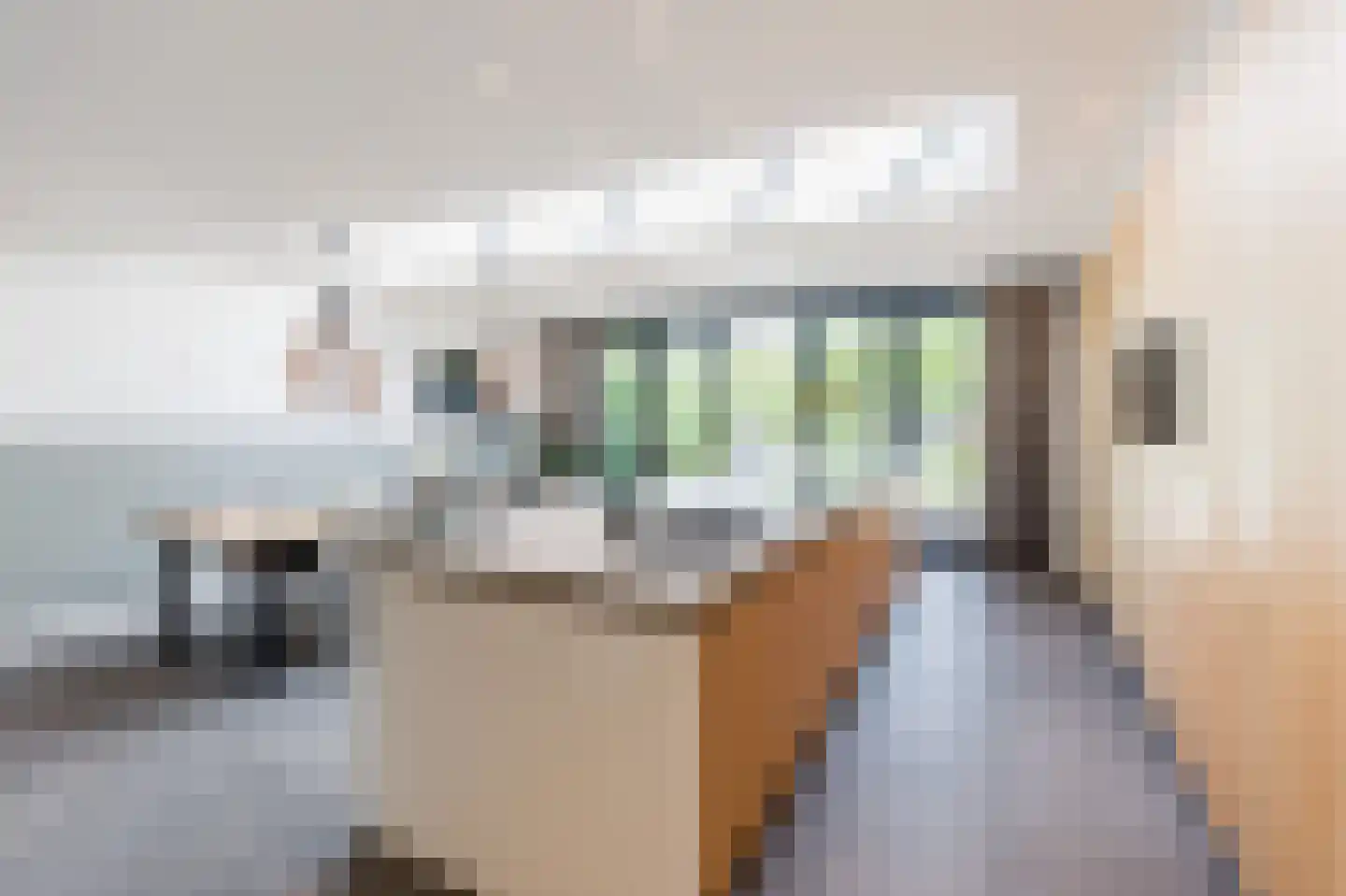 Rijnsburgerweg 80 C Oegstgeest thumbnail 25