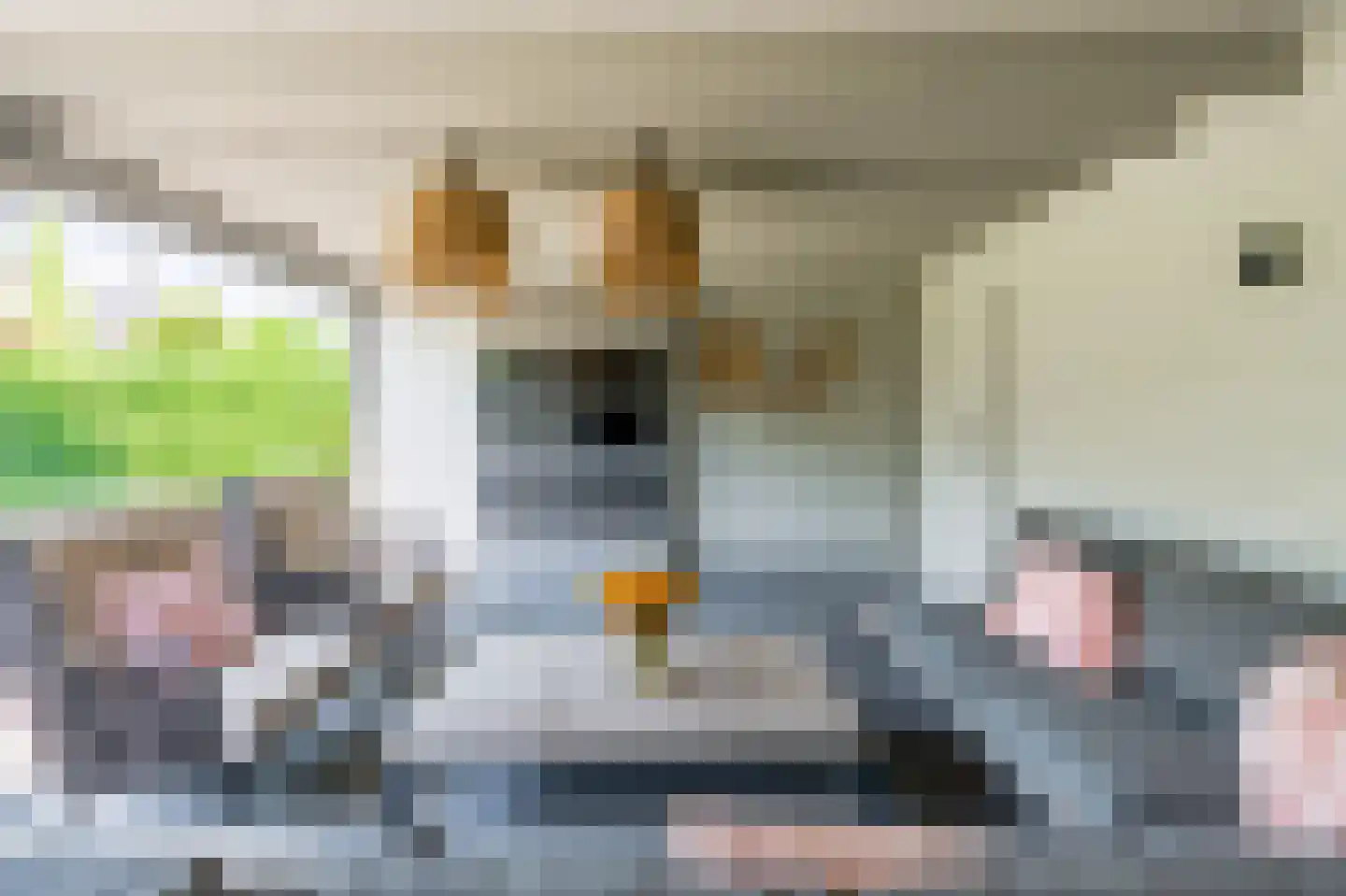 Rijnsburgerweg 80 C Oegstgeest thumbnail 56
