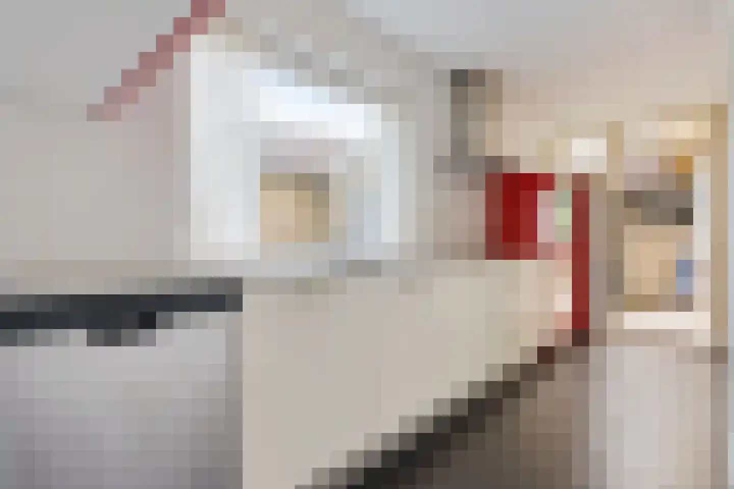 Rijnsburgerweg 84 Oegstgeest thumbnail 4