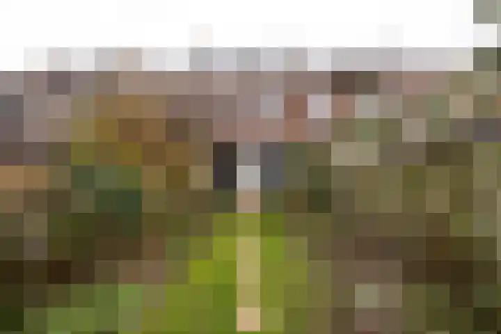 Rijnsburgerweg 99 Leiden thumbnail 30