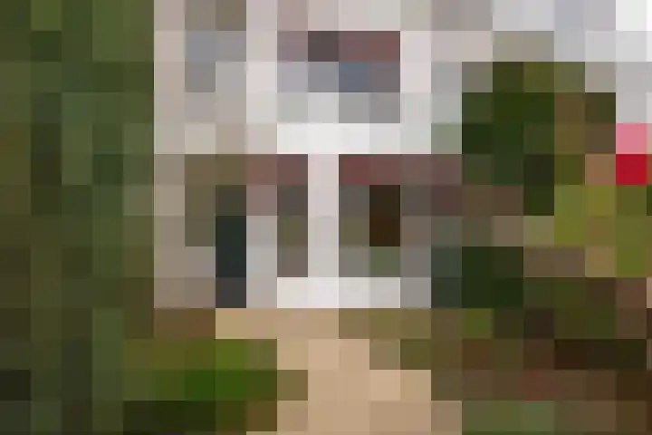 Rijnsburgerweg 99 Leiden thumbnail 31