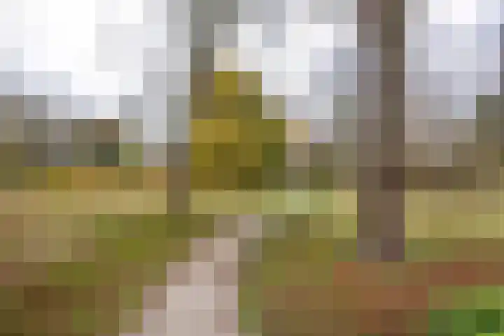 Rijnsburgerweg 99 Leiden thumbnail 32