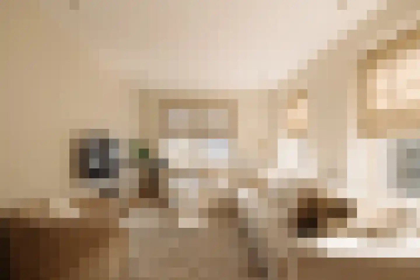 Rijnsburgstraat 14 1 Amsterdam thumbnail 7