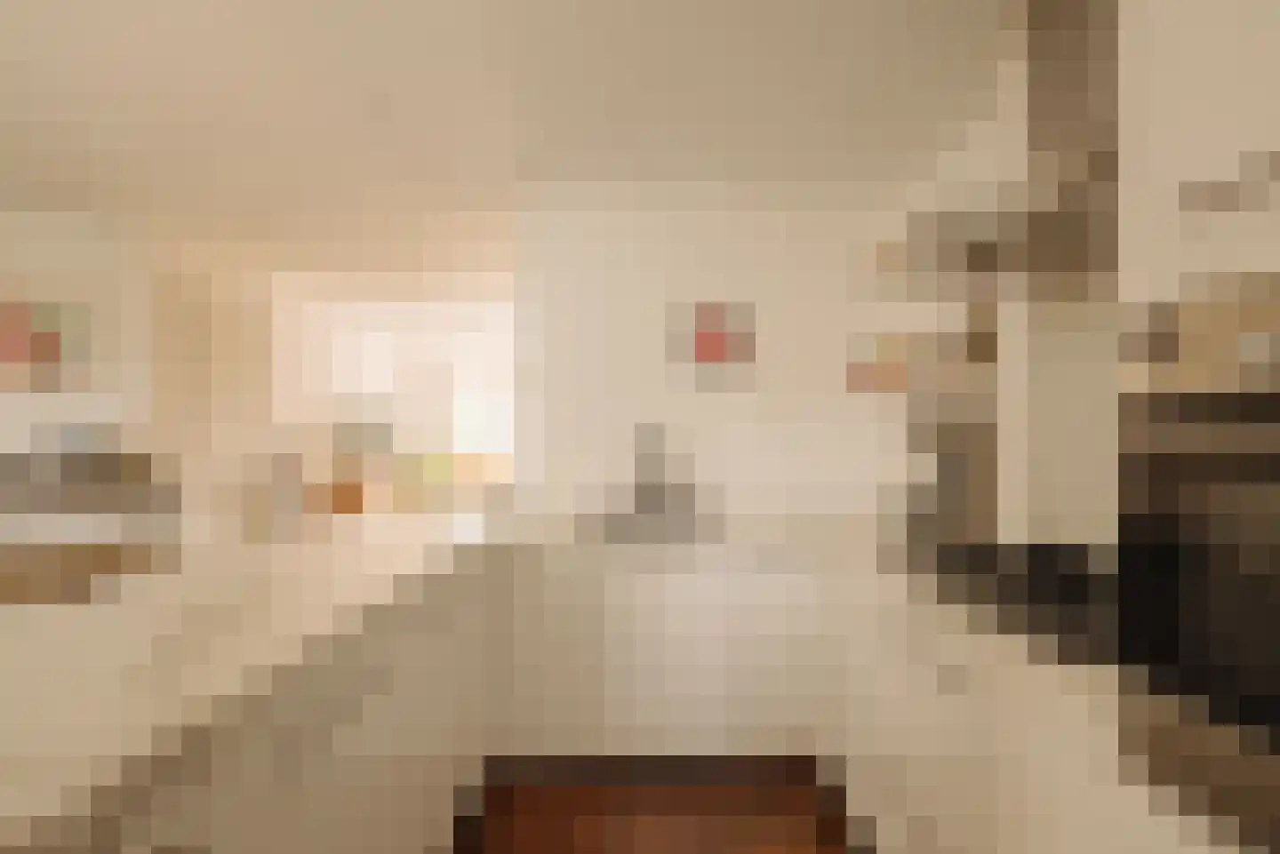Rijnsburgstraat 22 1 Amsterdam thumbnail 10