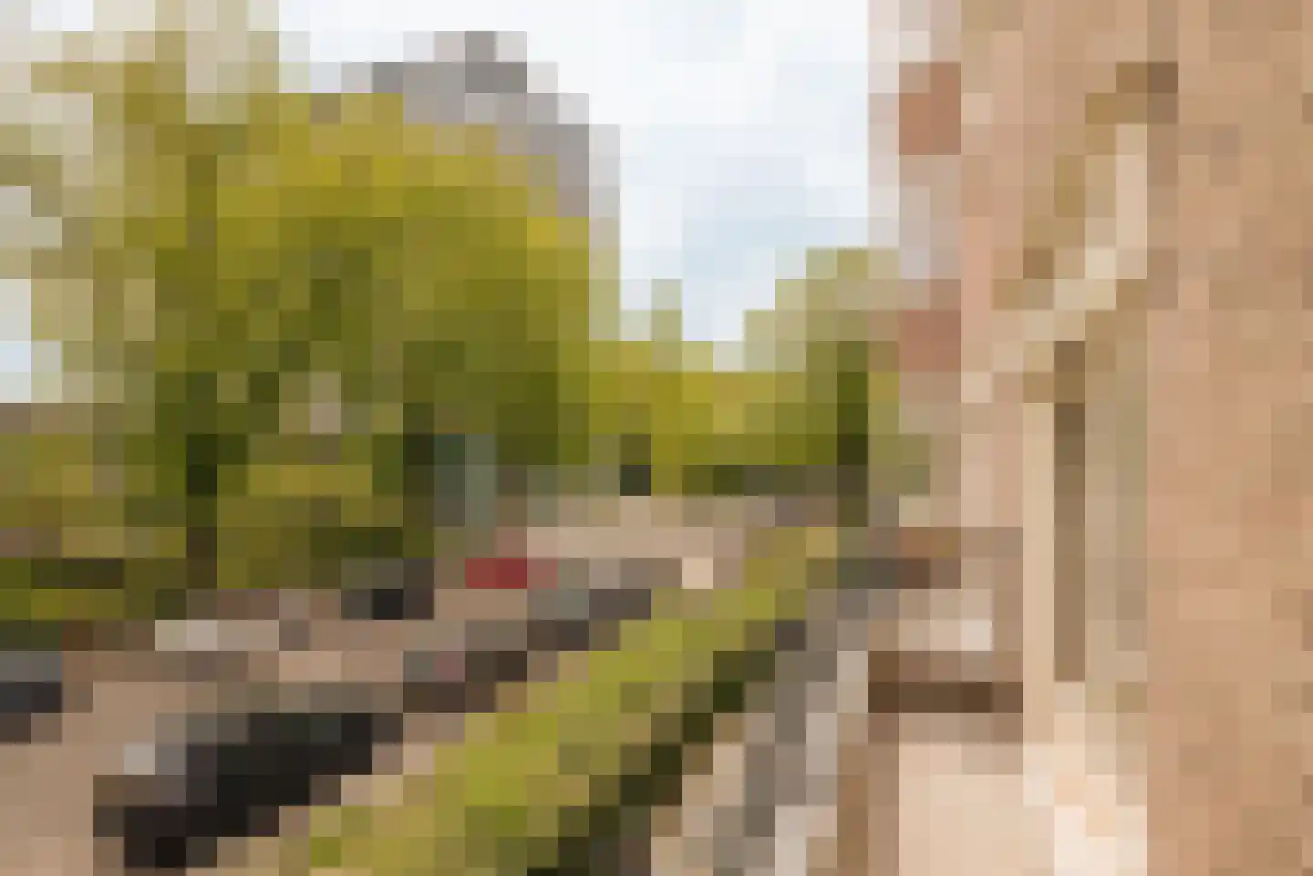 Rijnsburgstraat 22 1 Amsterdam thumbnail 16