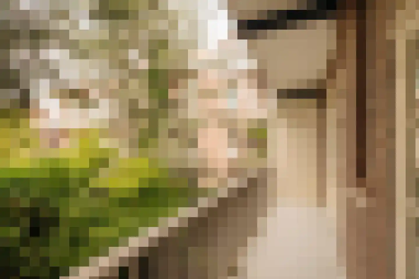 Rijnsburgstraat 22 1 Amsterdam thumbnail 9