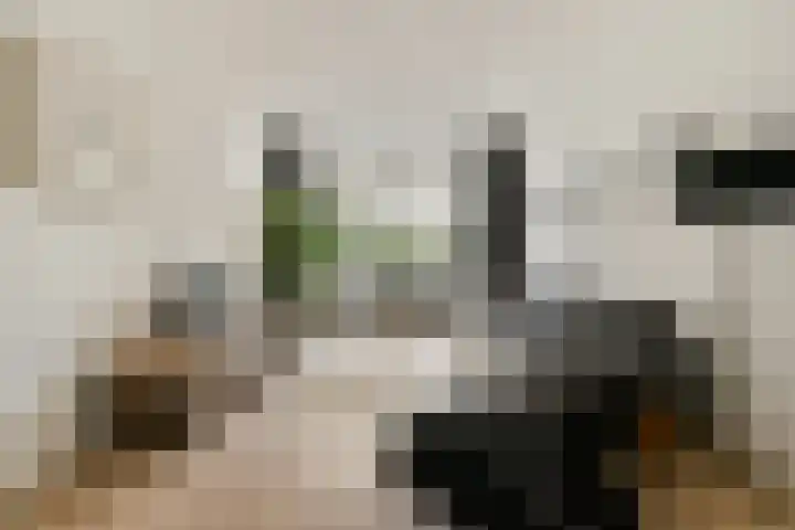 Rijnsburgstraat 22 2 Amsterdam thumbnail 5