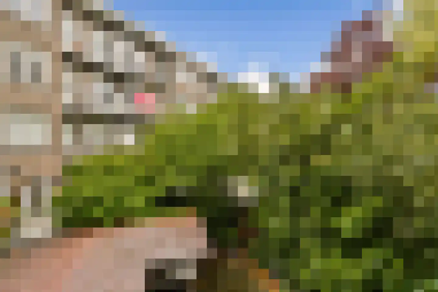 Rijnsburgstraat 90 1 Amsterdam thumbnail 19