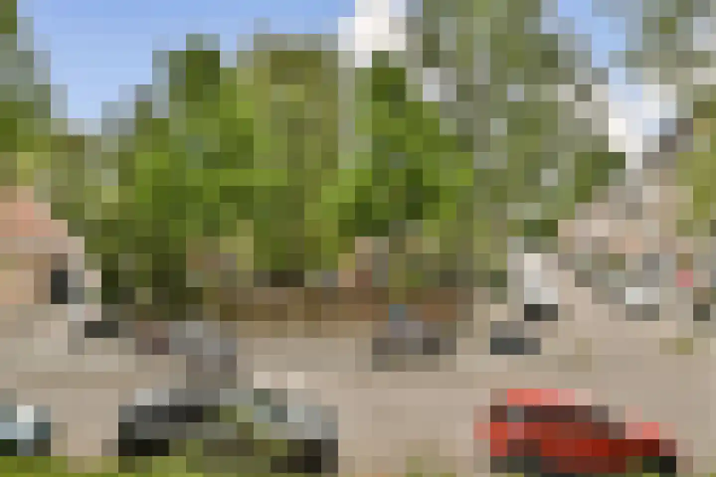 Rijnsburgstraat 90 1 Amsterdam thumbnail 4