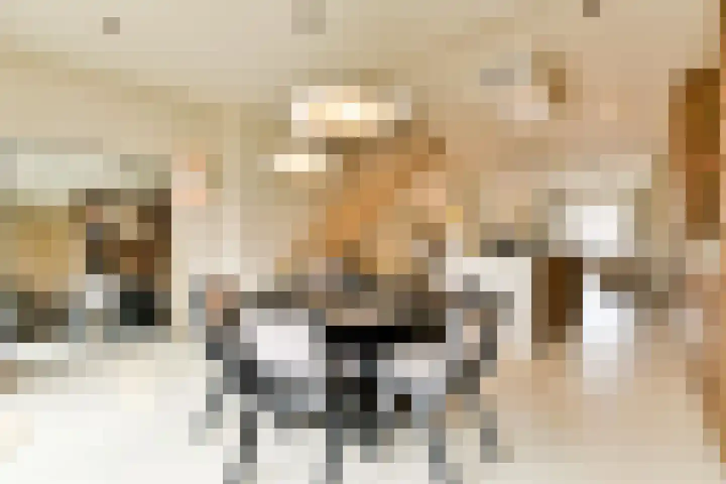 Rijnsburgstraat 91 H Amsterdam thumbnail 4