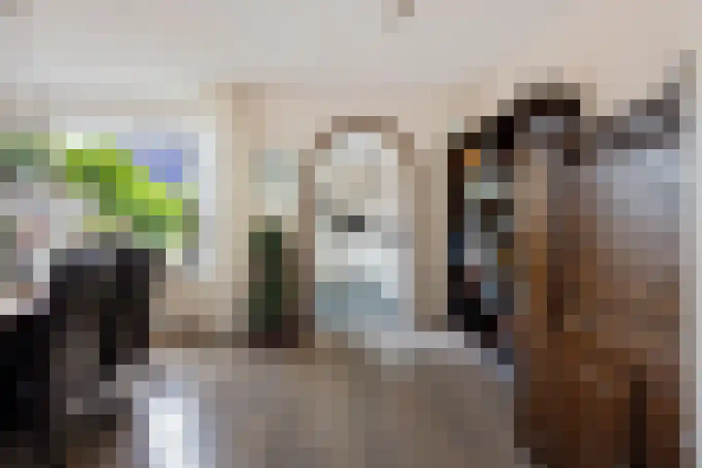 Rijnschoten 5 Scherpenzeel thumbnail 10