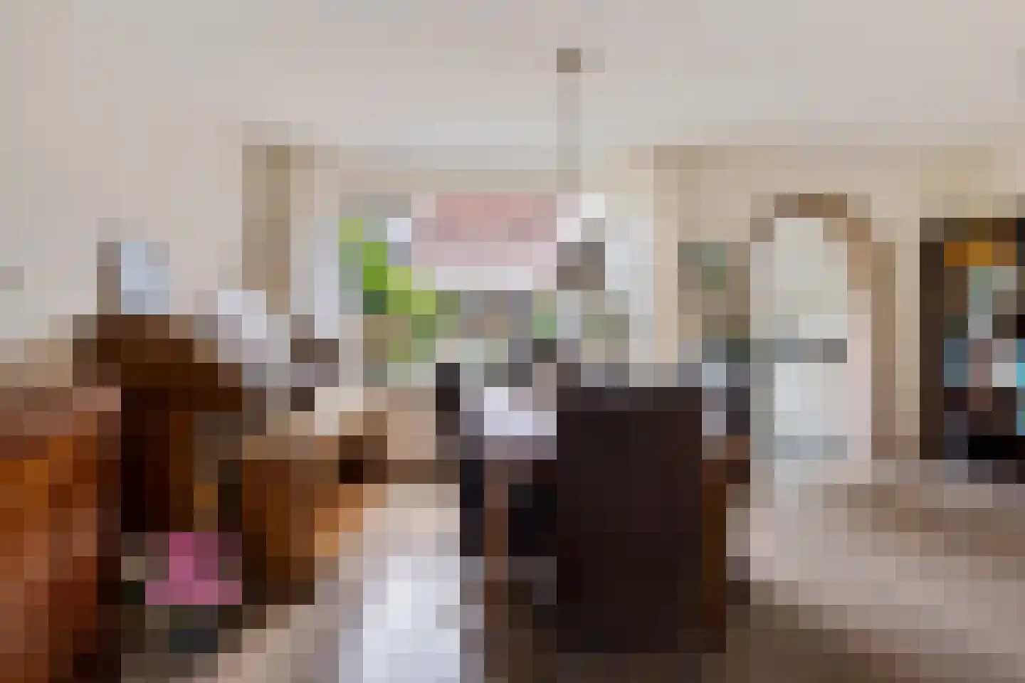 Rijnschoten 5 Scherpenzeel thumbnail 14