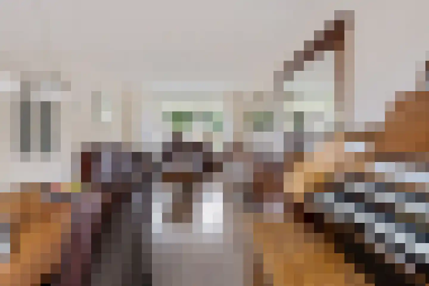 Rijnschoten 5 Scherpenzeel thumbnail 15