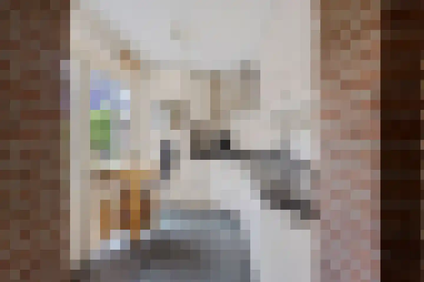 Rijnschoten 5 Scherpenzeel thumbnail 16