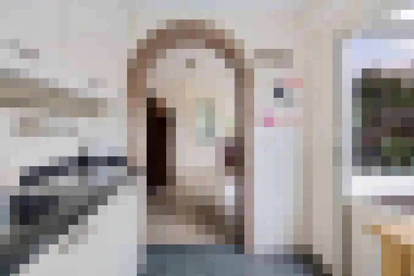Rijnschoten 5 Scherpenzeel thumbnail 17