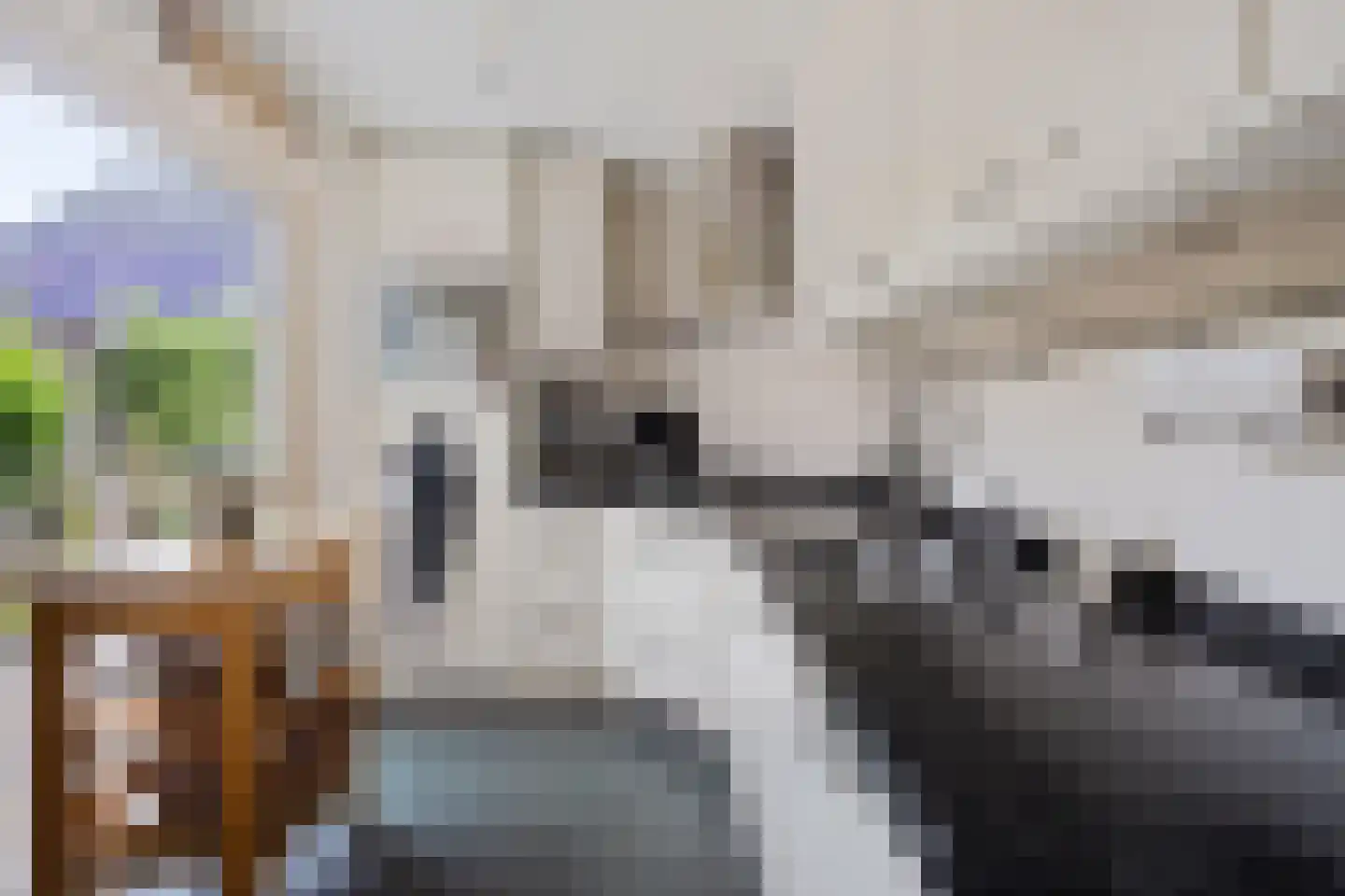 Rijnschoten 5 Scherpenzeel thumbnail 19