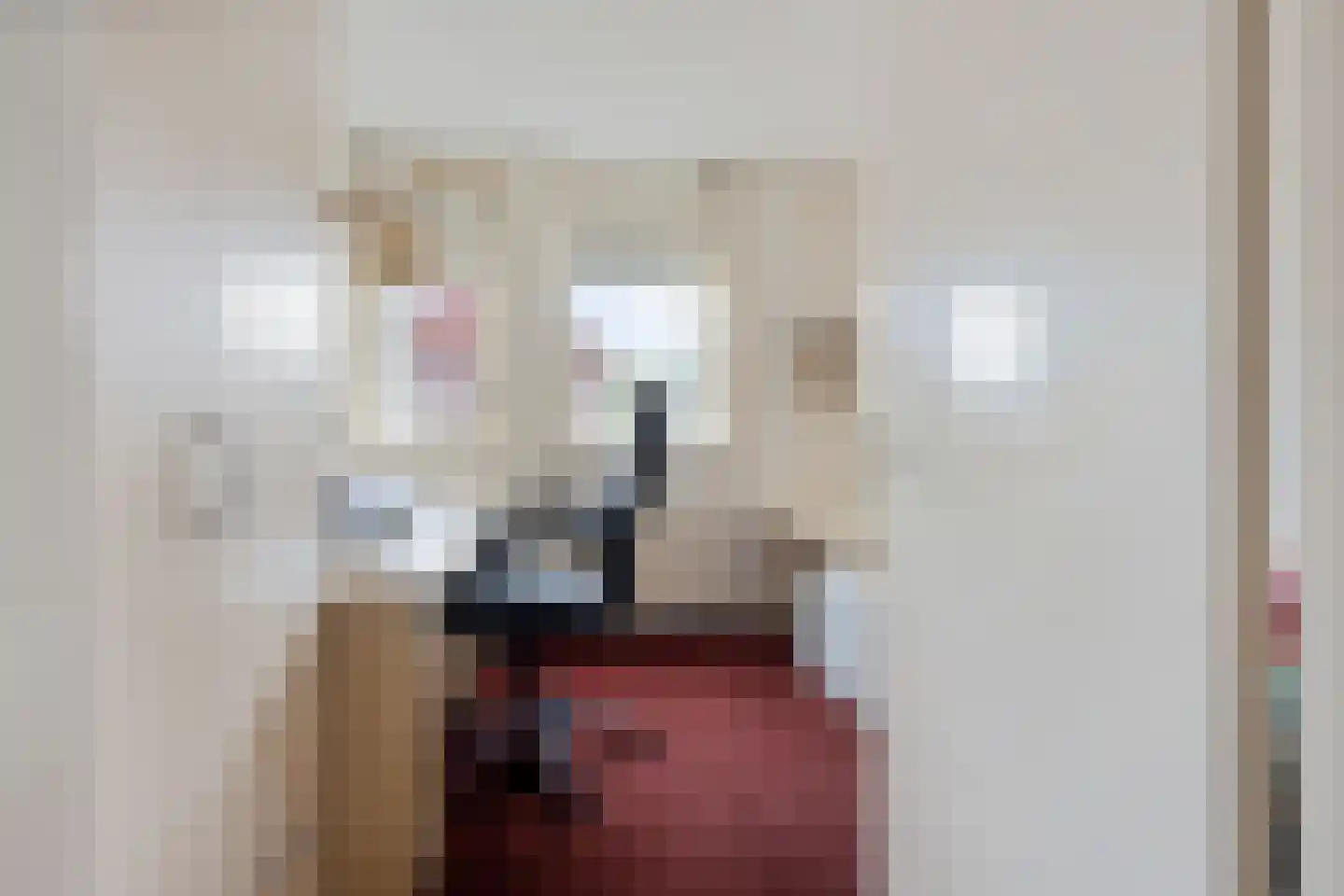 Rijnschoten 5 Scherpenzeel thumbnail 24