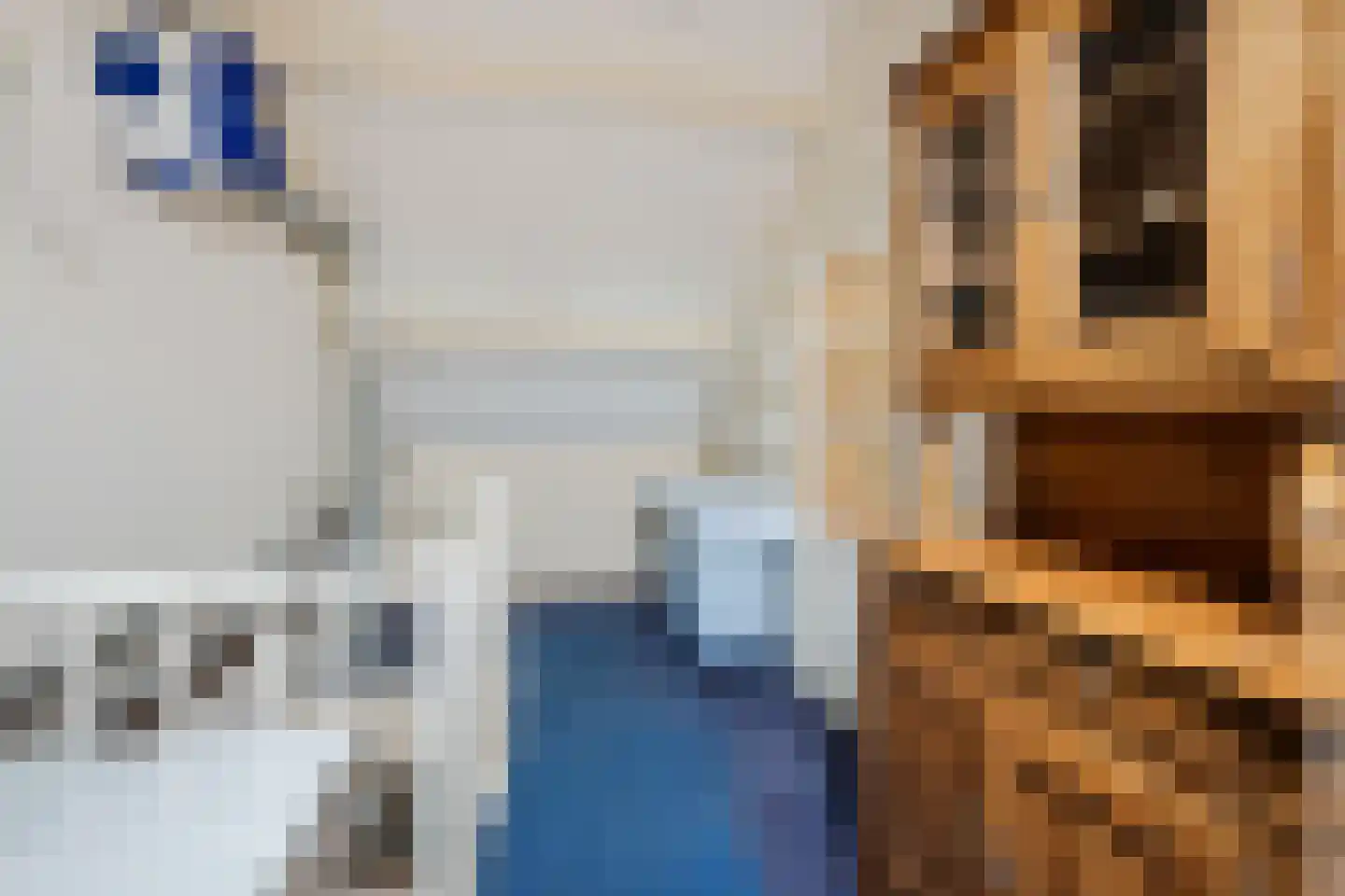 Rijnschoten 5 Scherpenzeel thumbnail 31