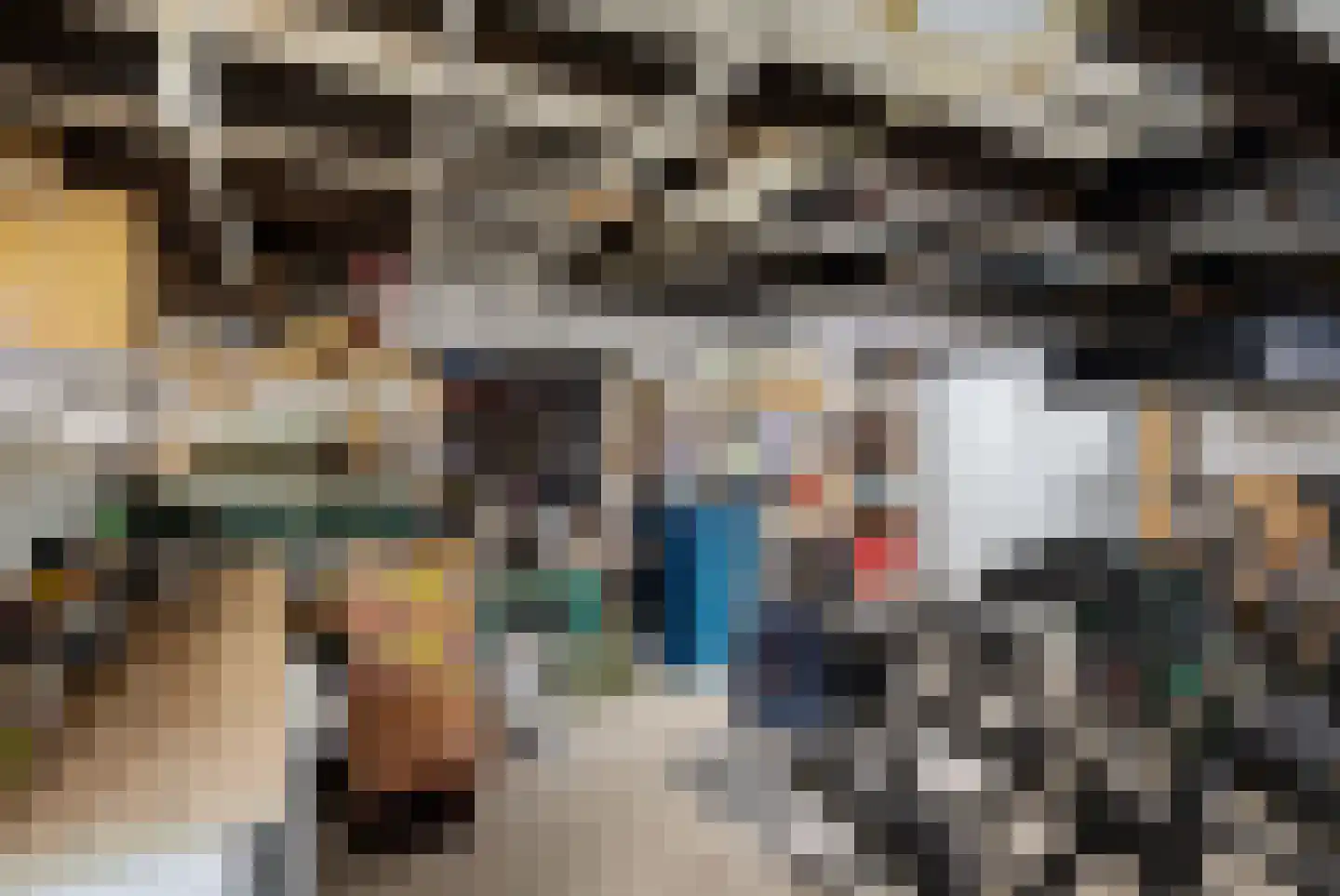 Rijnschoten 5 Scherpenzeel thumbnail 34
