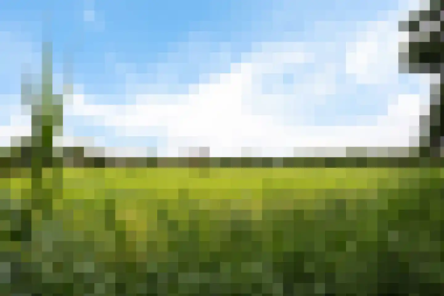 Rijnschoten 5 Scherpenzeel thumbnail 40