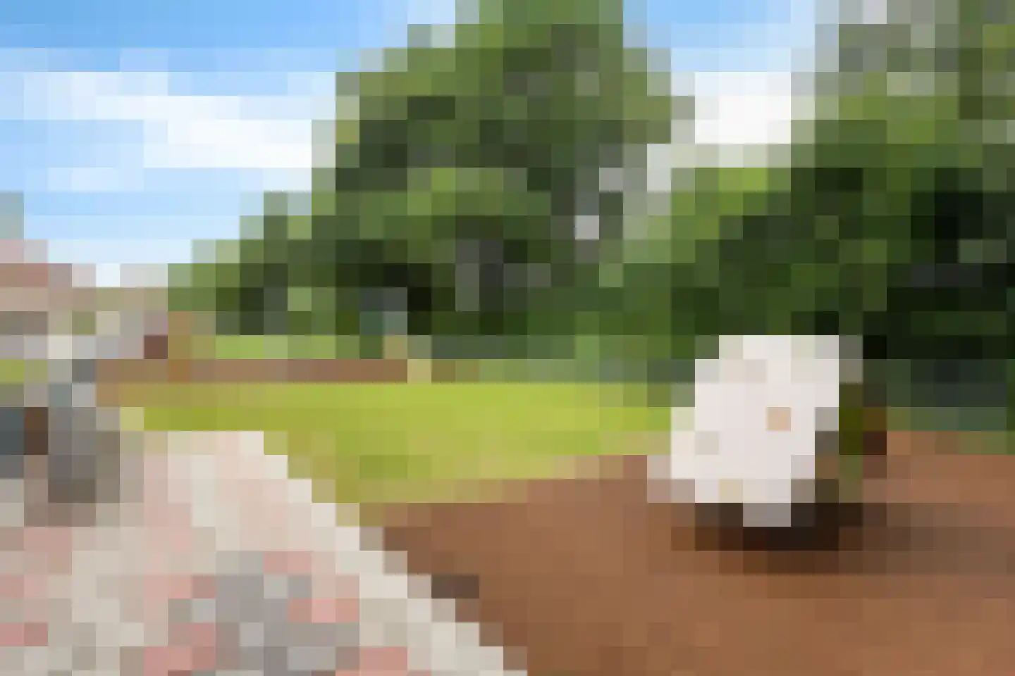 Rijnschoten 5 Scherpenzeel thumbnail 41