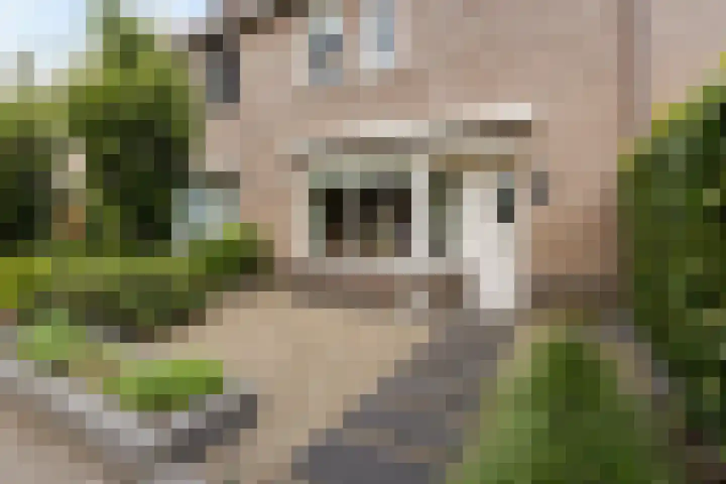 Rijnschoten 5 Scherpenzeel thumbnail 6