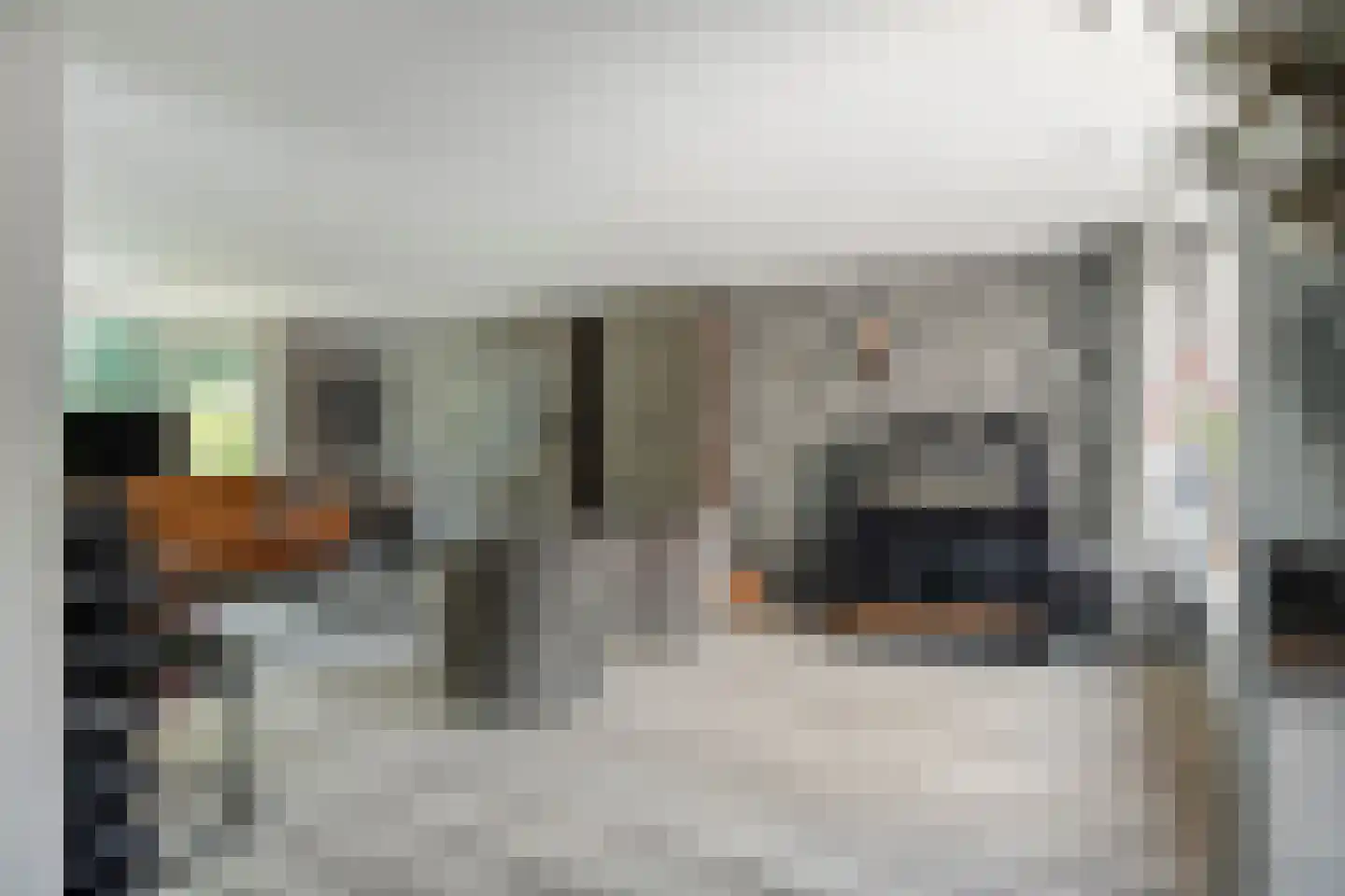 Rijnschoten 8 Scherpenzeel thumbnail 12