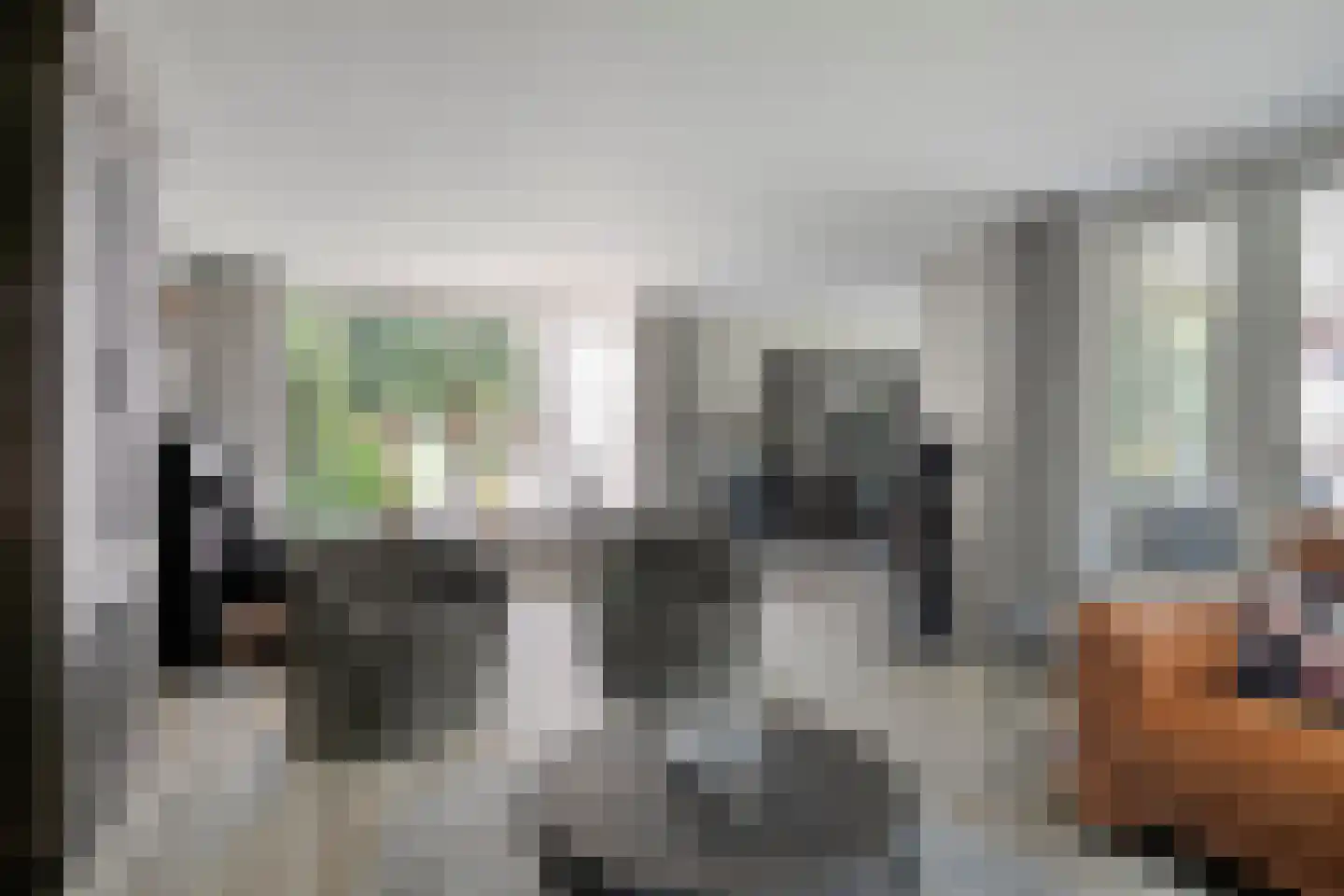Rijnschoten 8 Scherpenzeel thumbnail 13