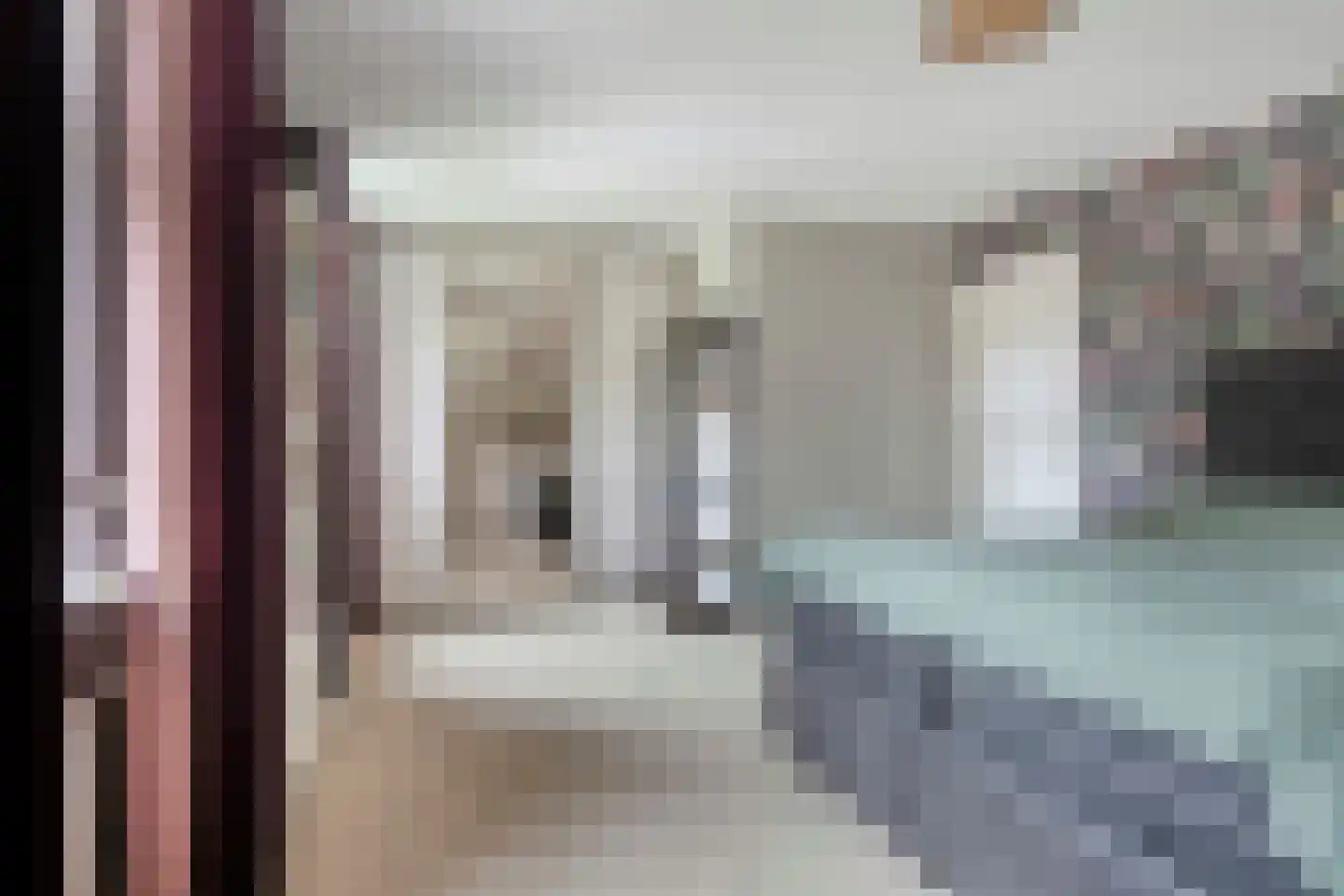 Rijnschoten 8 Scherpenzeel thumbnail 25