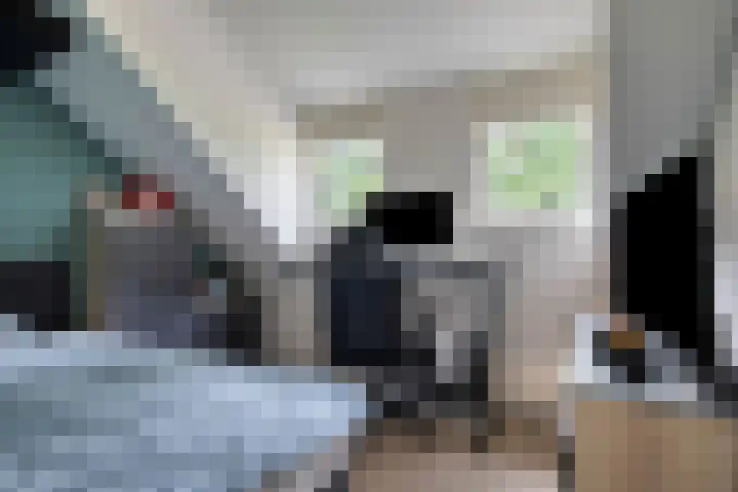 Rijnschoten 8 Scherpenzeel thumbnail 28