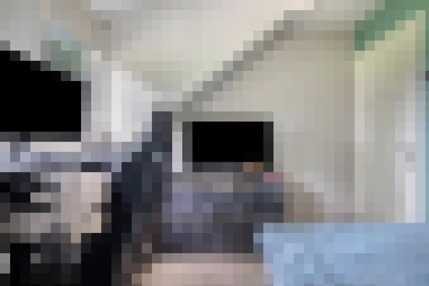 Rijnschoten 8 Scherpenzeel thumbnail 29