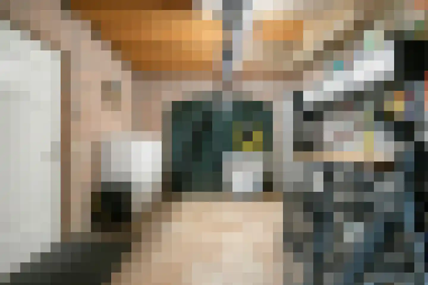 Rijnschoten 8 Scherpenzeel thumbnail 31