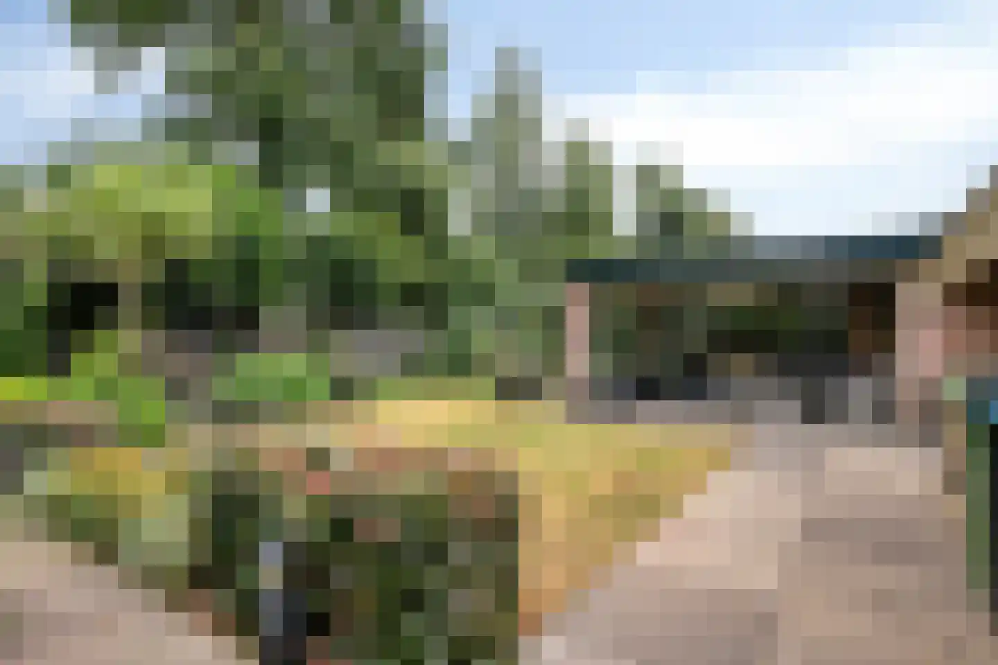 Rijnschoten 8 Scherpenzeel thumbnail 34