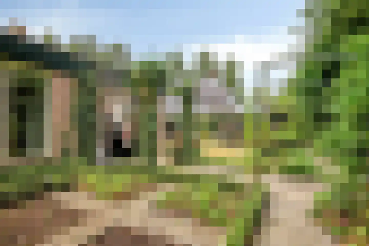 Rijnschoten 8 Scherpenzeel thumbnail 36