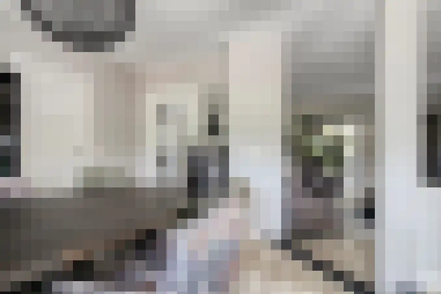 Rijnschoten 8 Scherpenzeel thumbnail 7