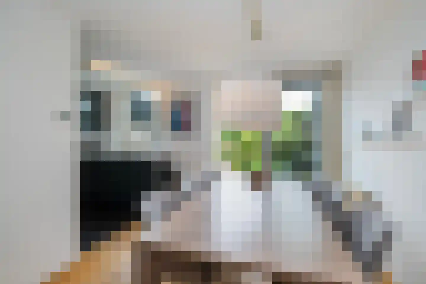 Rijnse Gulden 11 Dronten thumbnail 12