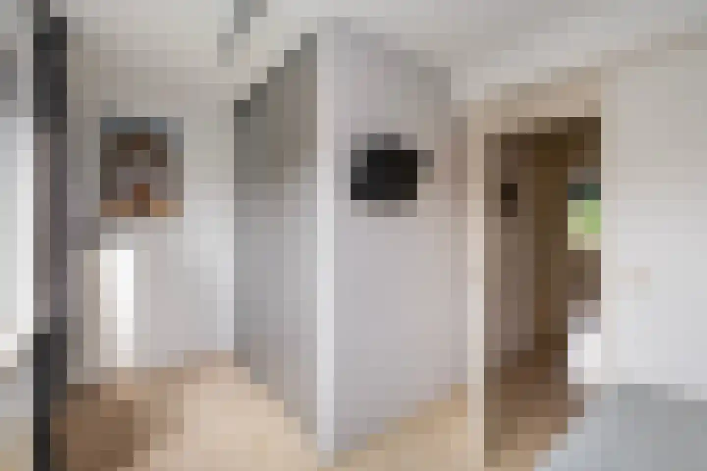 Rijnse Gulden 11 Dronten thumbnail 17