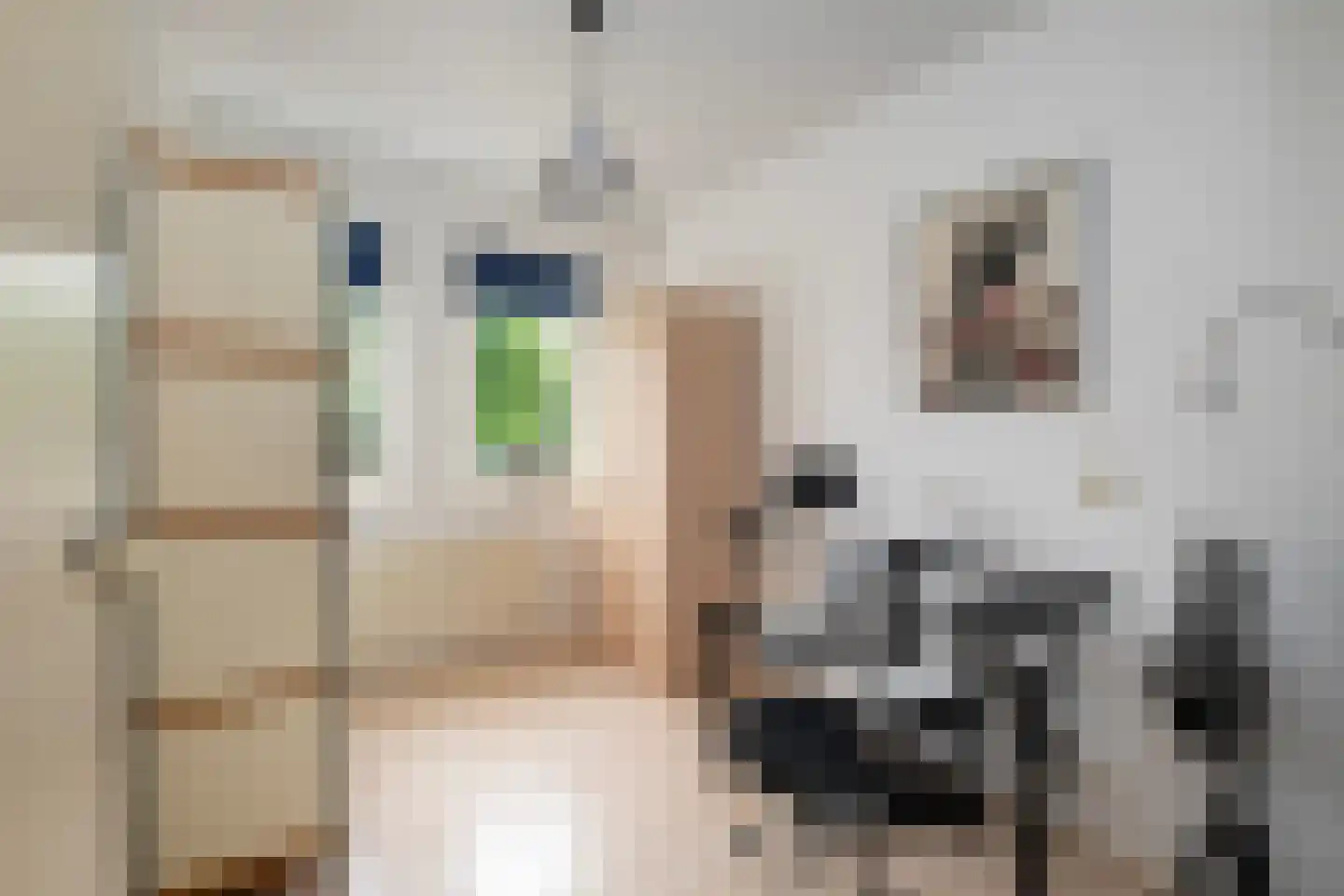 Rijnse Gulden 11 Dronten thumbnail 18